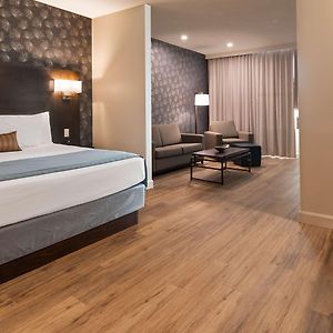Two-Bedroom King Suite
